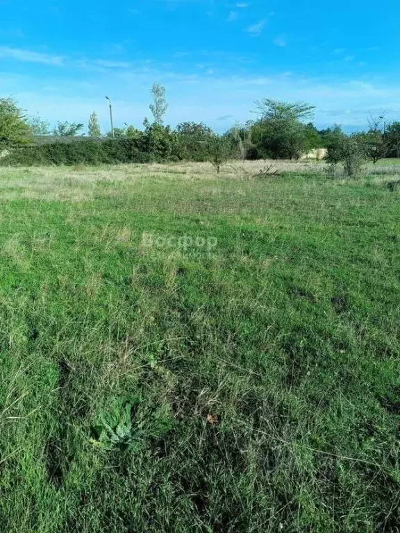 Участок в Крым, Феодосия Здоровье садоводческое товарищество,  (7.8 ... - Фото 1