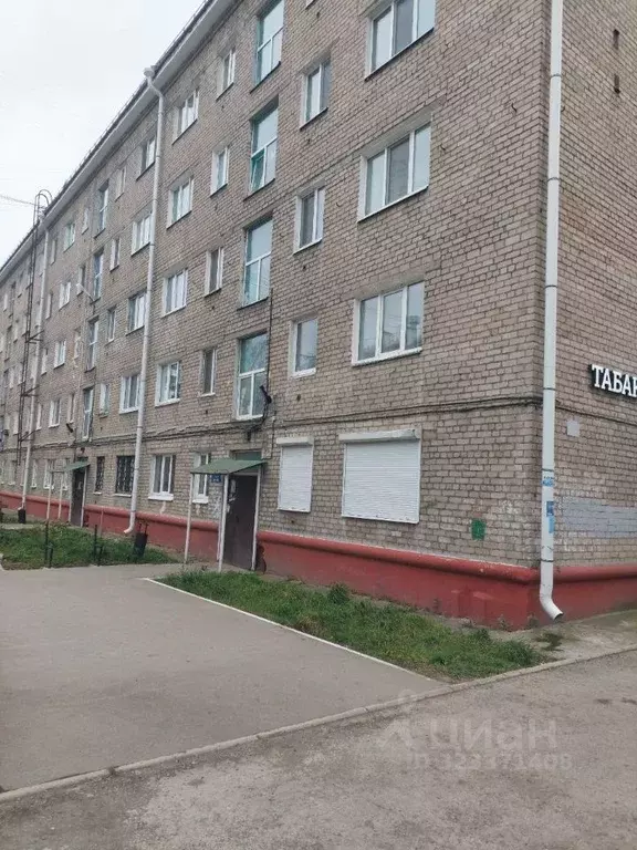 1-к кв. Пермский край, Пермь ул. Маршала Рыбалко, 80 (26.0 м) - Фото 1