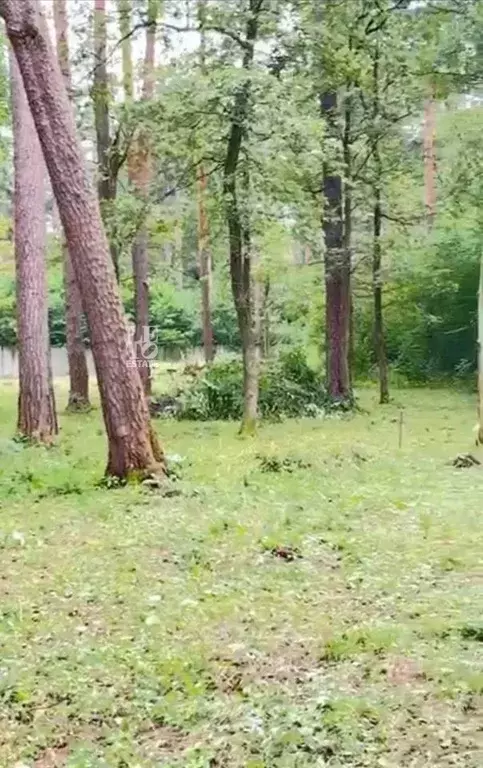 Участок в Московская область, Одинцовский городской округ, Серебряные ... - Фото 1