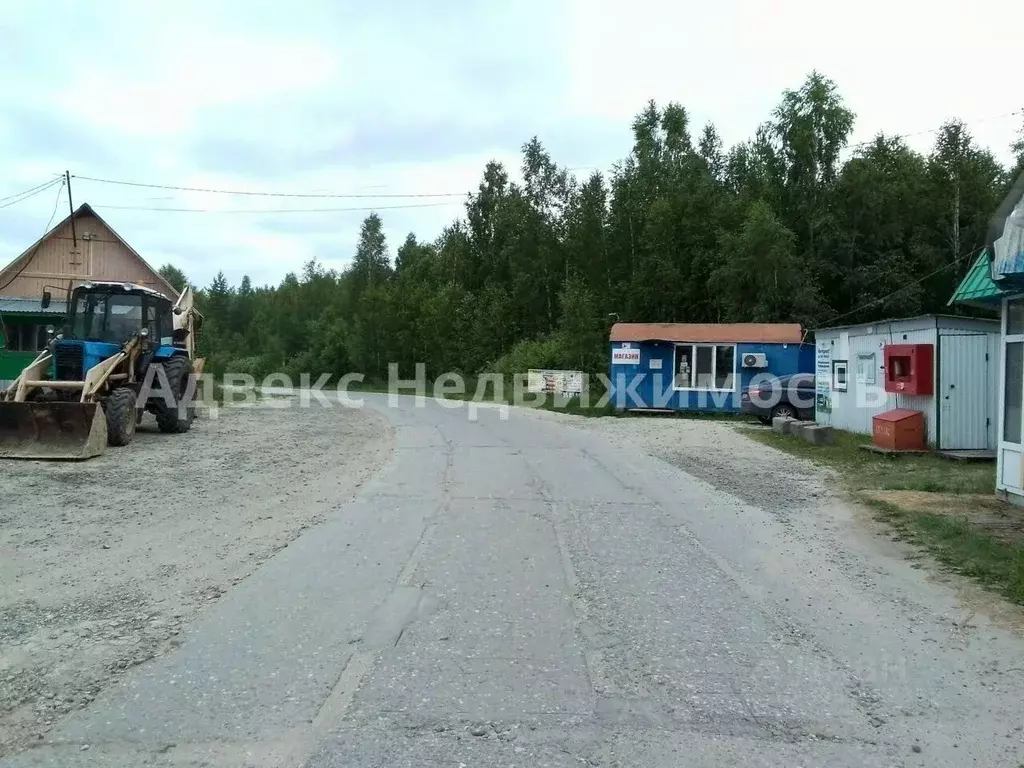 участок в тюменская область, нижнетавдинский район, сундукуль снт . - Фото 1