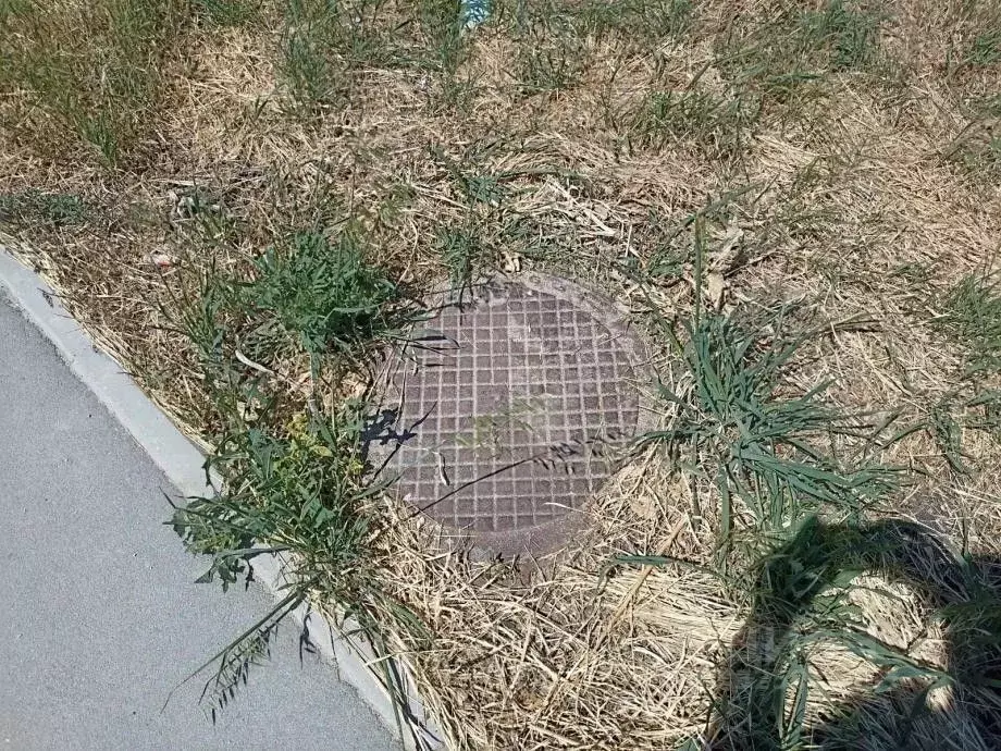 Участок в Крым, Симферопольский район, с. Донское ул. Комсомольская, ... - Фото 2