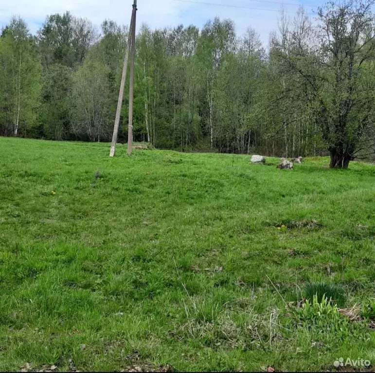 Участок в Псковская область, Стругокрасненский район, д. Творожково  ... - Фото 1