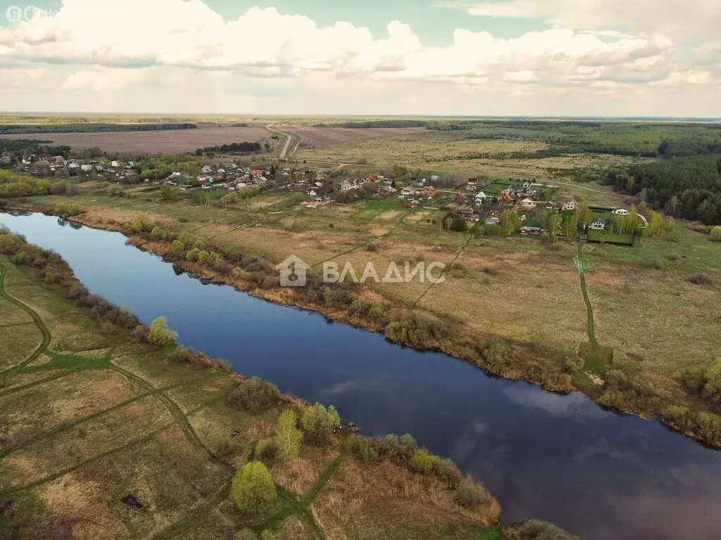 Участок в Суздальский район, муниципальное образование Селецкое, ... - Фото 0