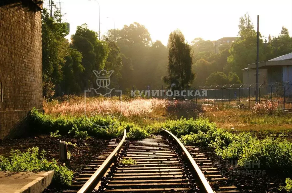 Помещение свободного назначения в Свердловская область, Камышловский ... - Фото 1