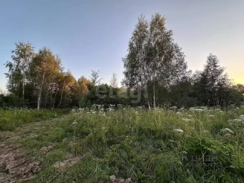 Участок в Московская область, Наро-Фоминский городской округ, д. ... - Фото 0