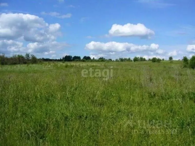 Участок в Белгородская область, Белгородский район, Беломестненское ... - Фото 1