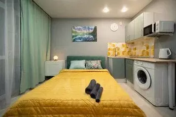 1-к кв. Рязанская область, Рязань ш. Солотчинское, 4к1 (20.0 м) - Фото 1