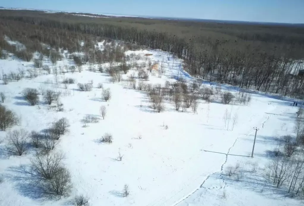 Участок в Хабаровский край, Хабаровский район, Мичуринское с/пос, ... - Фото 2