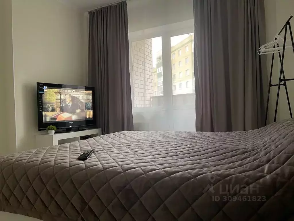 Студия Псковская область, Псковский район, Завеличенская волость, д. ... - Фото 2