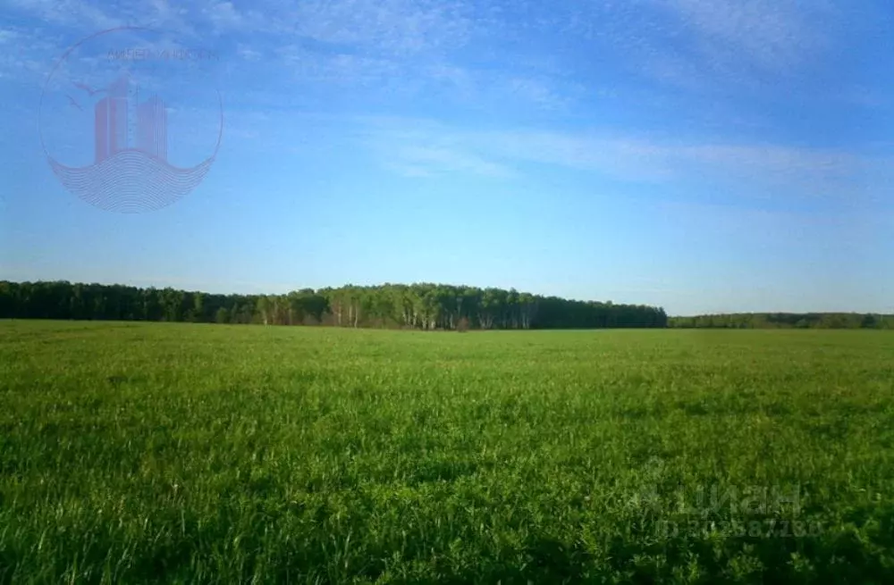 Дом в Крым, Ленинский район, Челядиновское с/пос, с. Челядиново ул. ... - Фото 0