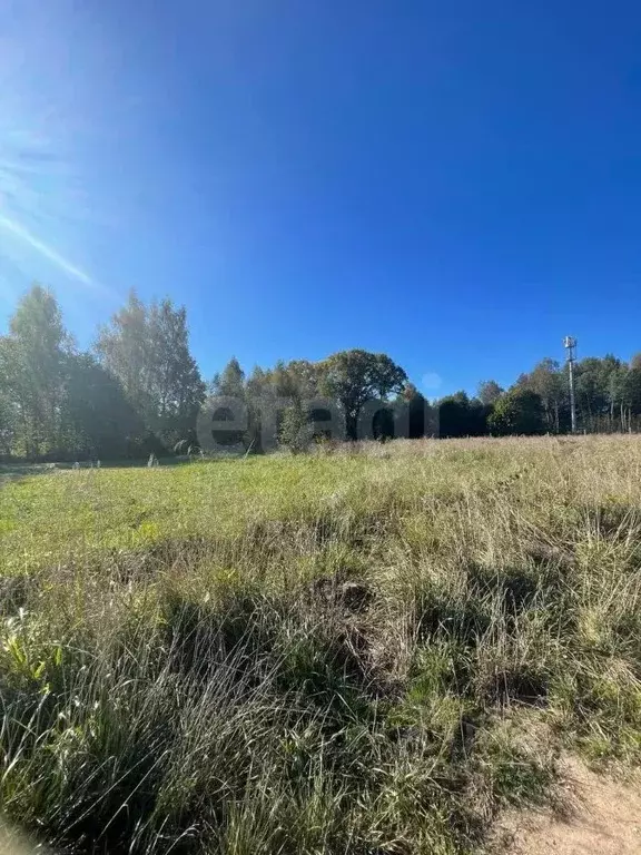 Участок в Ярославская область, Ярославский муниципальный округ, с. ... - Фото 1