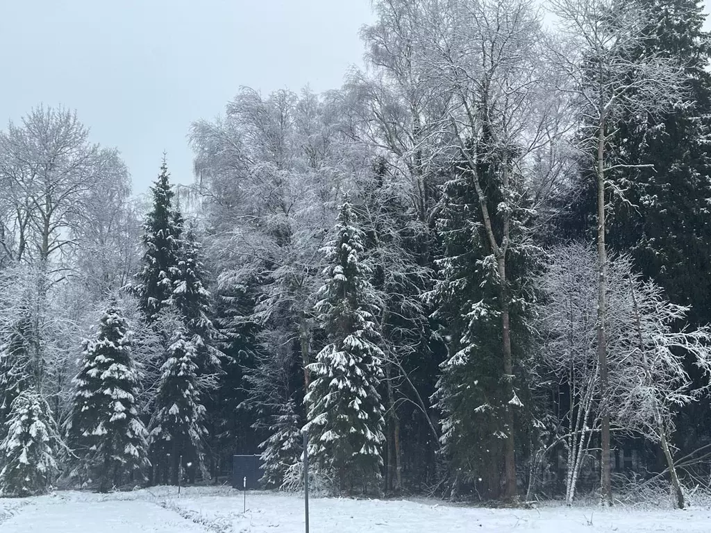 Участок в Московская область, Истра муниципальный округ, д. Дубровское ... - Фото 2