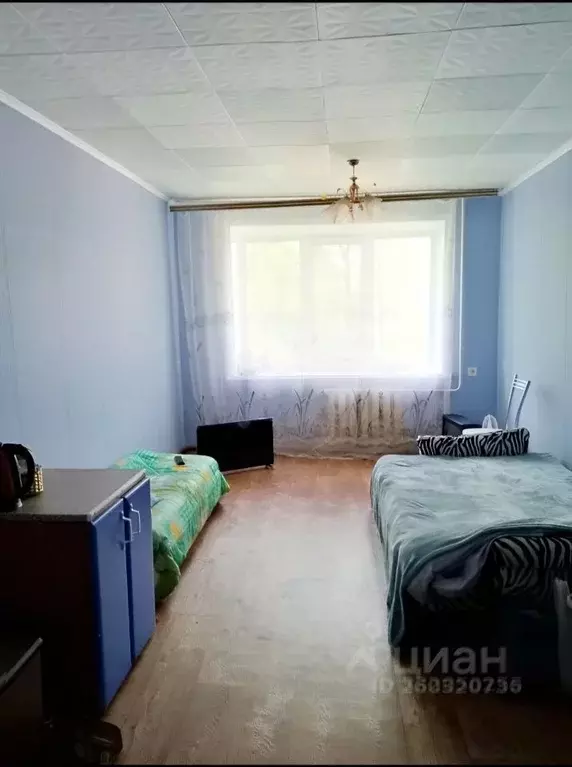 Комната Самарская область, Самара ул. Георгия Димитрова, 46 (18.5 м) - Фото 2
