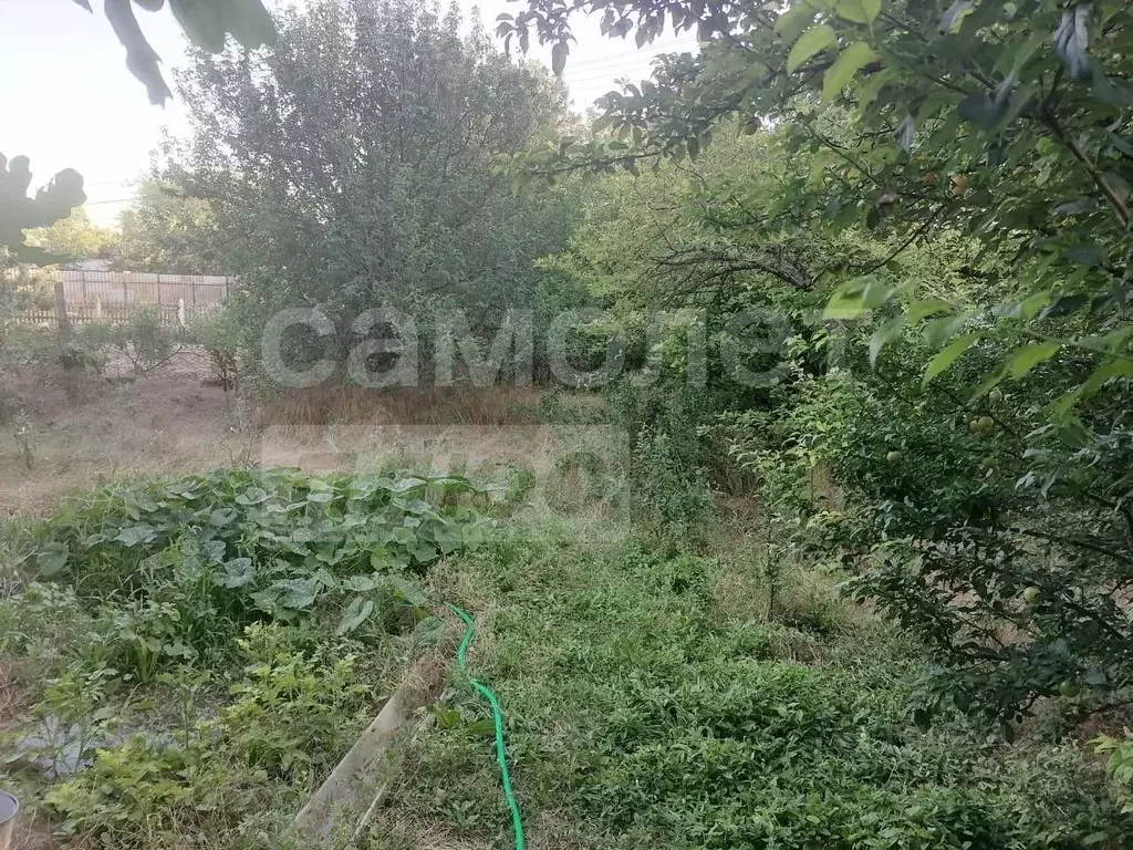 Участок в Крым, Сакский район, Веселовское с/пос, с. Наташино ул. ... - Фото 1