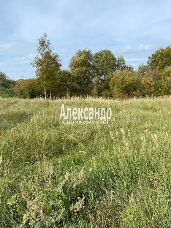 Участок в Ленинградская область, Сясьстрой Волховский район, ул. ... - Фото 0