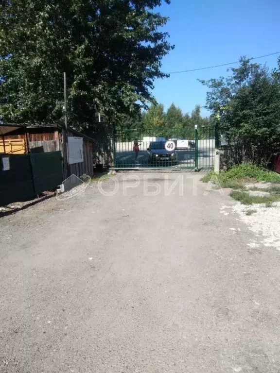 Участок в Тюменская область, Тюмень Вишенка садовое товарищество, ул. ... - Фото 2
