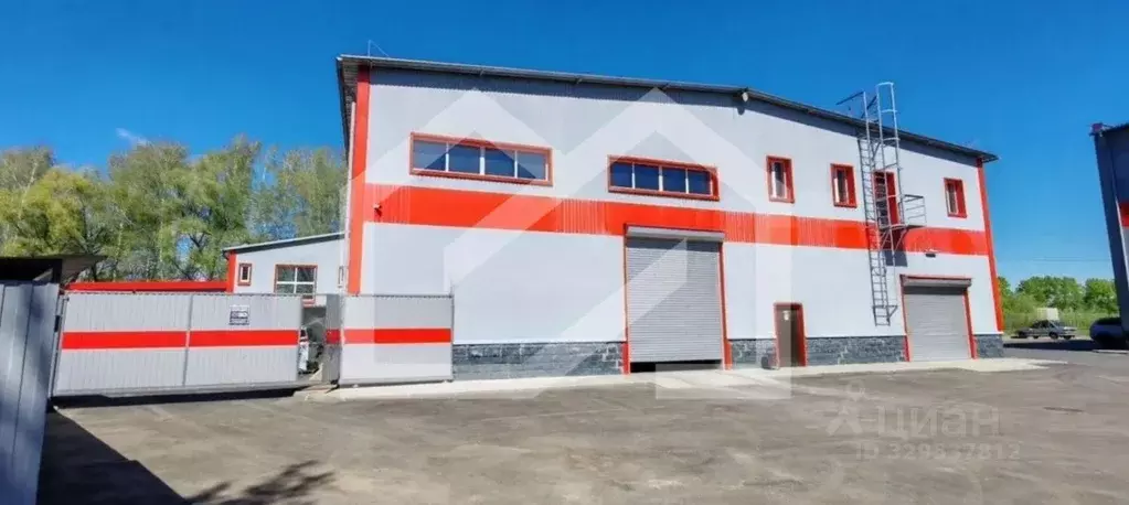 Помещение свободного назначения в Московская область, Домодедово Белые ... - Фото 2