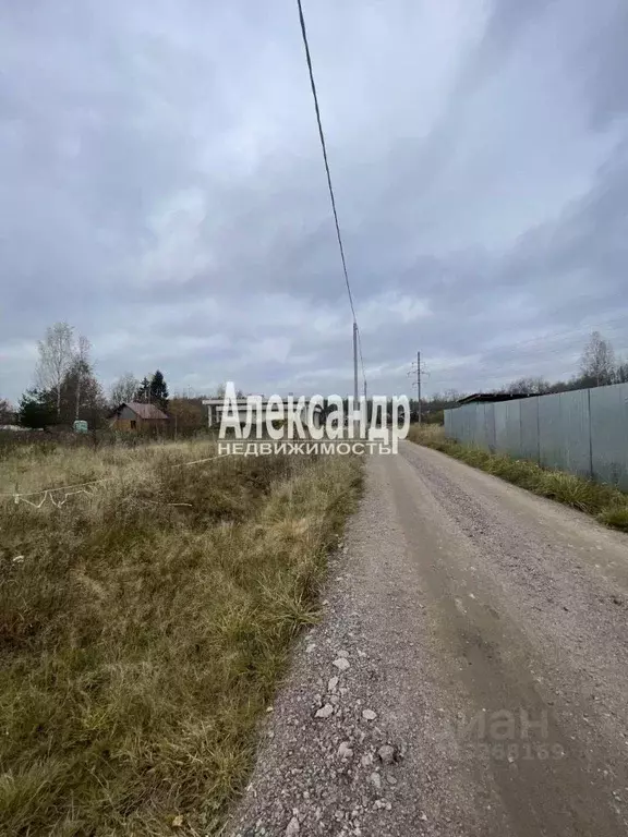 Участок в Ленинградская область, Всеволожский район, Дубровское ... - Фото 1