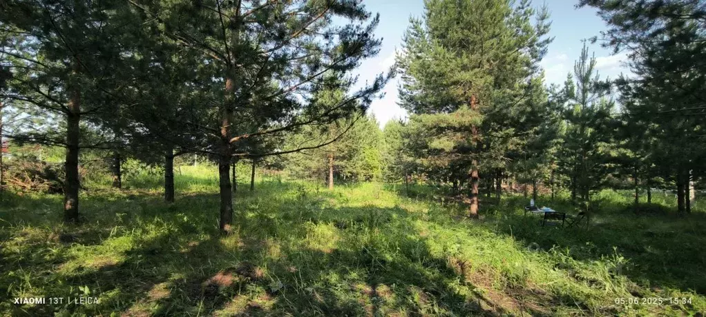 Участок в Татарстан, Верхнеуслонский район, Введенско-Слободское ... - Фото 1