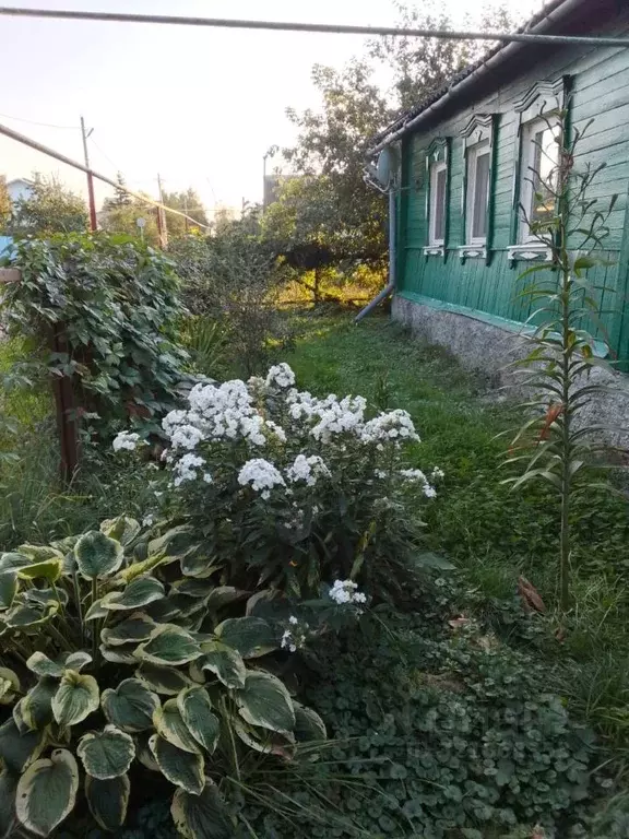 Дом в Орловская область, Новосиль Пионерская ул., 33 (57 м) - Фото 0