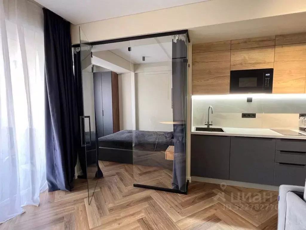 1-к кв. Краснодарский край, Сочи городской округ, Дагомыс пгт ул. ... - Фото 1