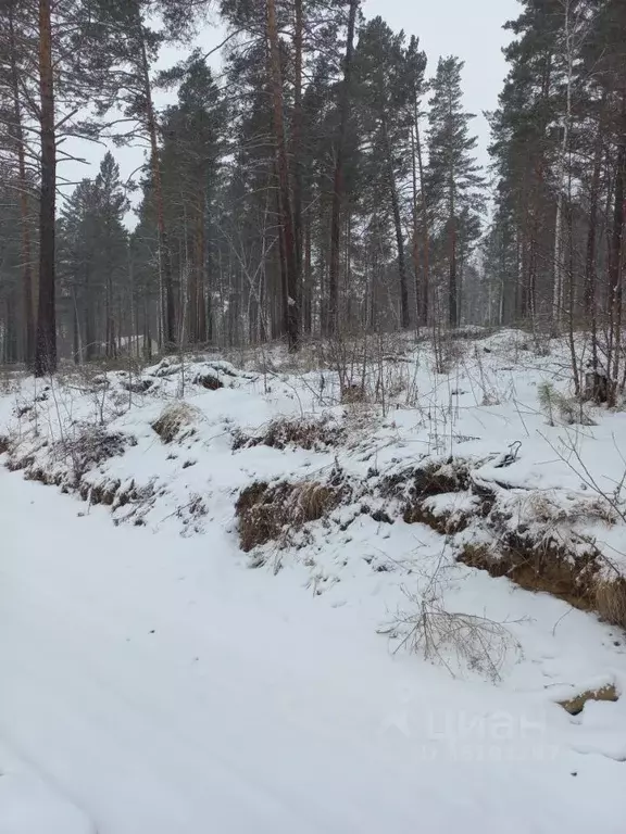 Участок в Иркутская область, Иркутский муниципальный округ, Маркова ... - Фото 1