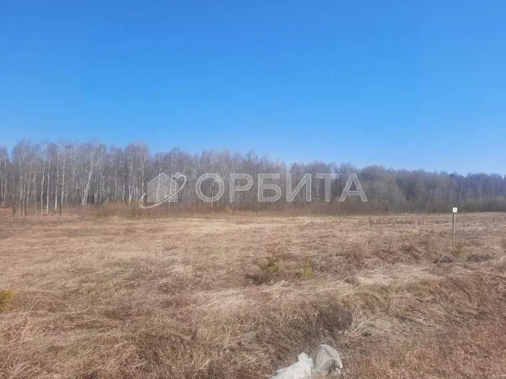 Участок в Тюменская область, Тюменский муниципальный округ, Речник ... - Фото 2