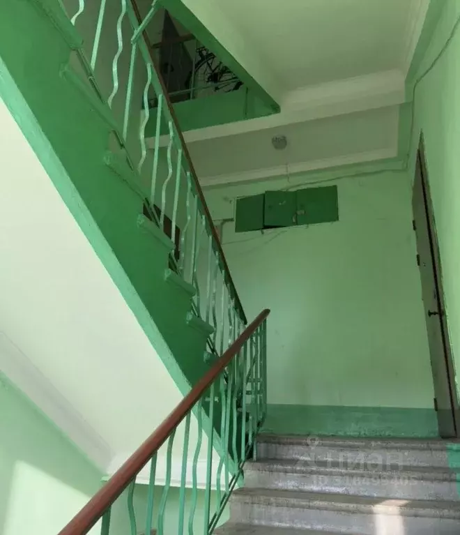 Комната Санкт-Петербург ул. Новостроек, 31 (18.9 м) - Фото 1
