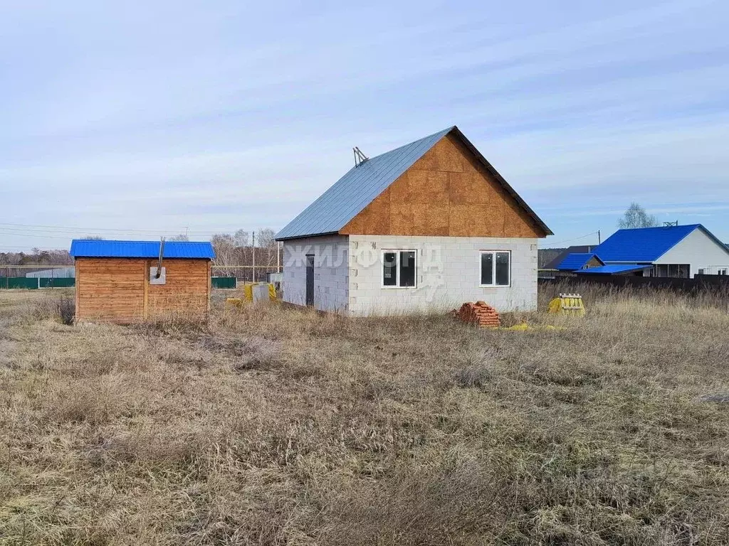 Дом в Новосибирская область, Искитимский район, с. Тальменка ул. ... - Фото 1