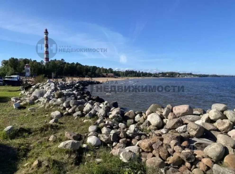 Участок в Ленинградская область, Всеволожский район, Романовское ... - Фото 1