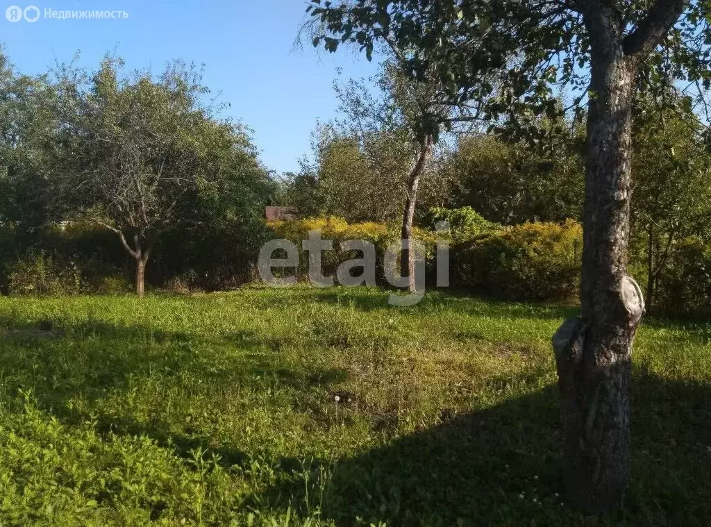 Дом в Брянск, садовое некоммерческое товарищество Рассвет (24 м) - Фото 0