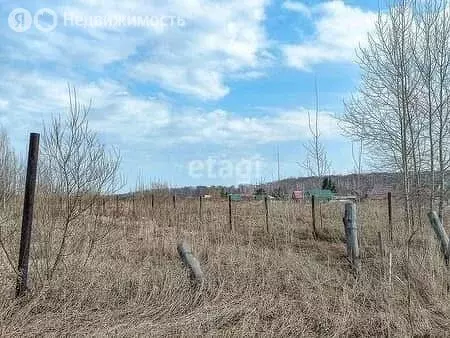 Участок в Тогучинский район, Репьевский сельсовет, село Репьёво (9 м) - Фото 1