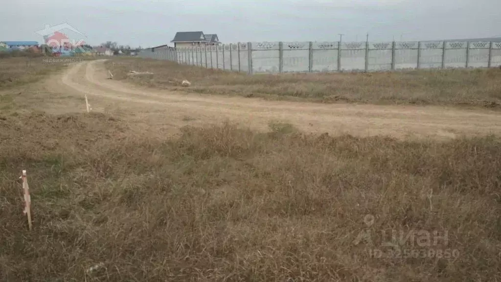 Участок в Крым, Черноморский район, Оленевское с/пос, с. Оленевка ул. ... - Фото 1