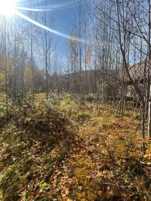 Участок в Бурятия, Баргузинский район, с. Максимиха, Студенческий мкр ... - Фото 1