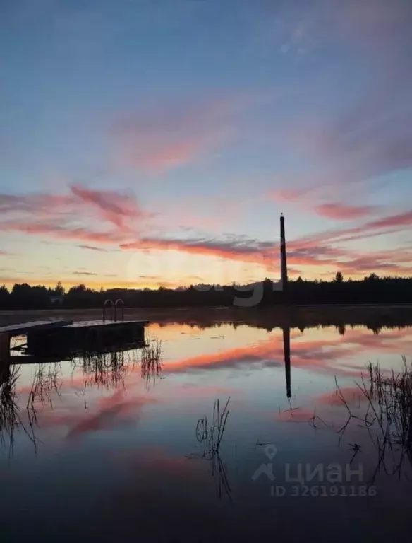 Участок в Ленинградская область, Волховский район, Пашское с/пос, д. ... - Фото 2