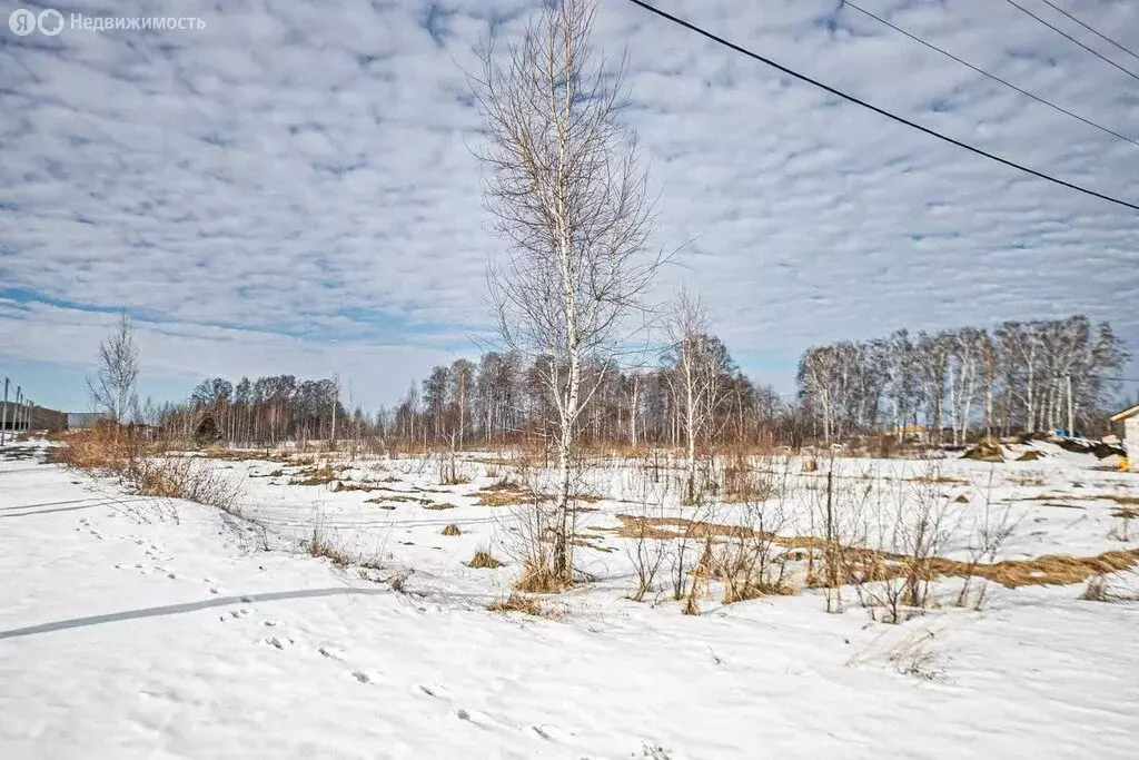 Участок в Новосибирская область, Бердск (10 м) - Фото 2