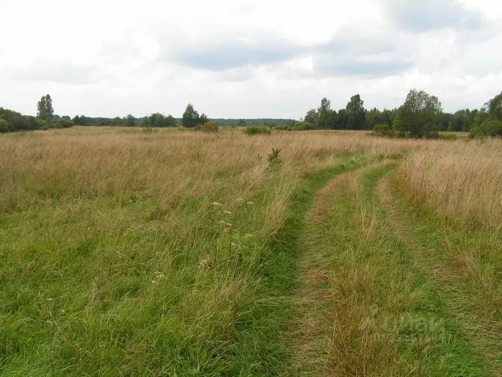 Участок в Тверская область, Торжокский муниципальный округ, д. ... - Фото 1