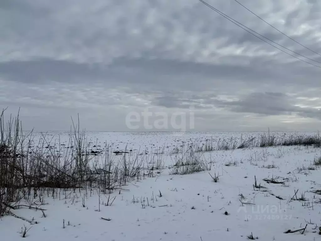 Участок в Белгородская область, Шебекинский муниципальный округ, пос. ... - Фото 2