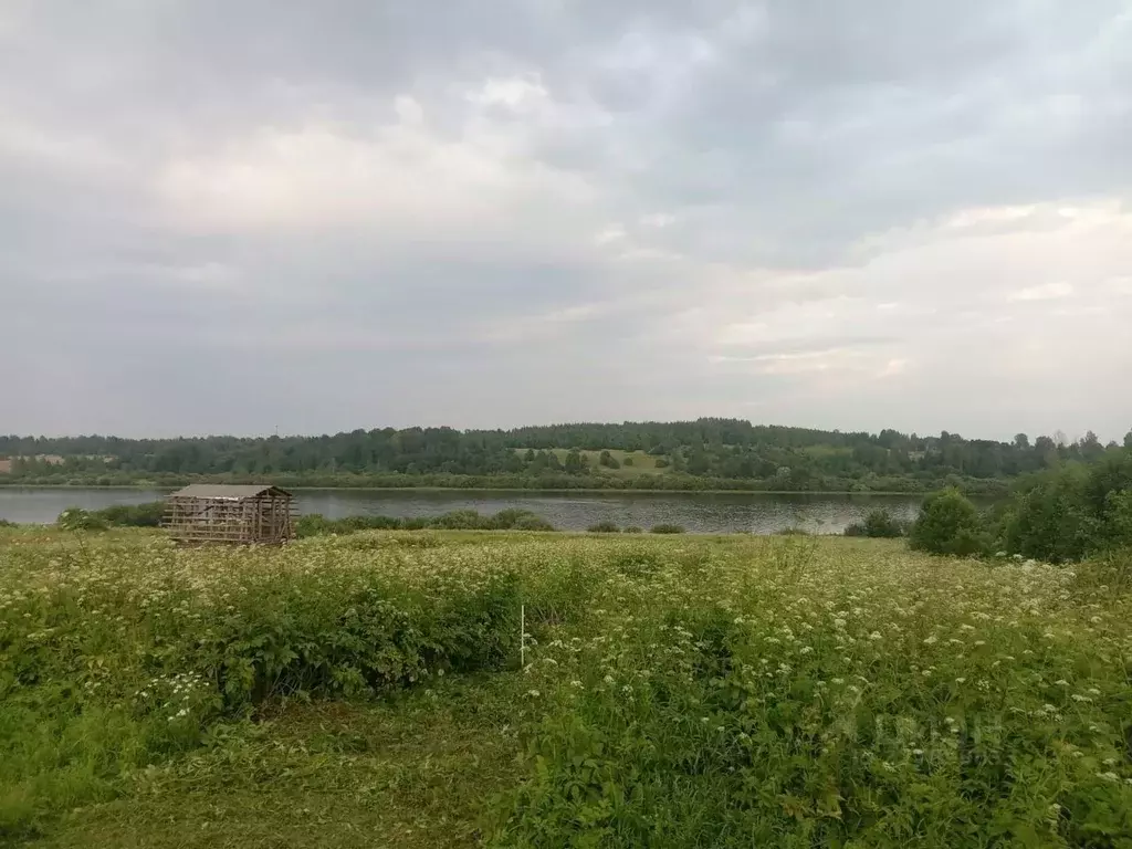 Участок в Новгородская область, Новгородский район, Трубичинское ... - Фото 1