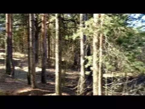 Участок 5,3 сот. (ИЖС) - Фото 1