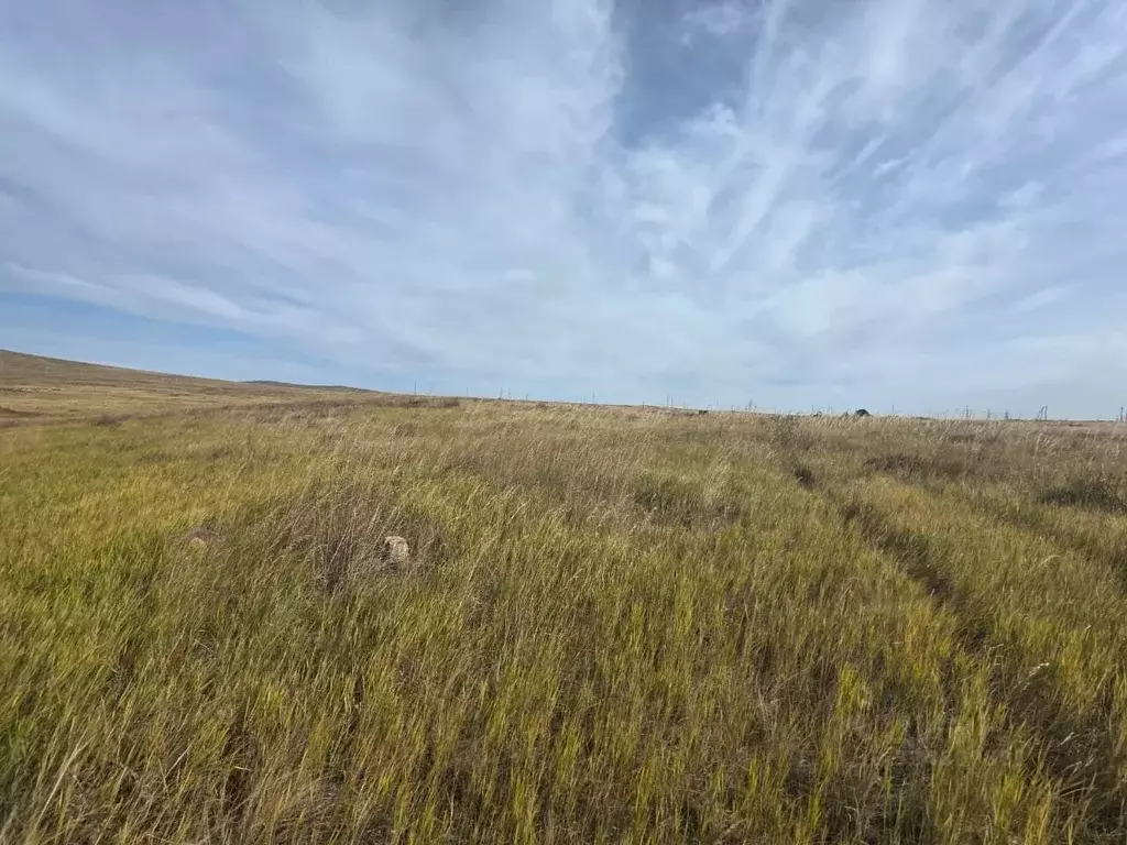 Участок в Забайкальский край, Забайкальск пгт ул. Загородная, 1 (11.0 ... - Фото 2