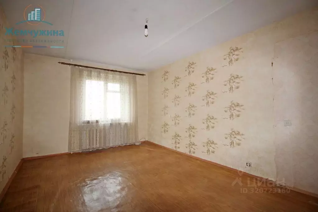 2-к кв. Ульяновская область, Димитровград ул. Королева, 4 (49.1 м) - Фото 1