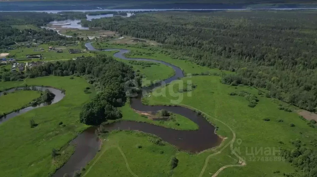 Участок в Костромская область, Красносельский район, Шолоховское ... - Фото 2
