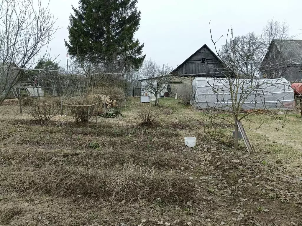 Участок в Псковский район, Писковичская волость, деревня Задолье (14 ... - Фото 0