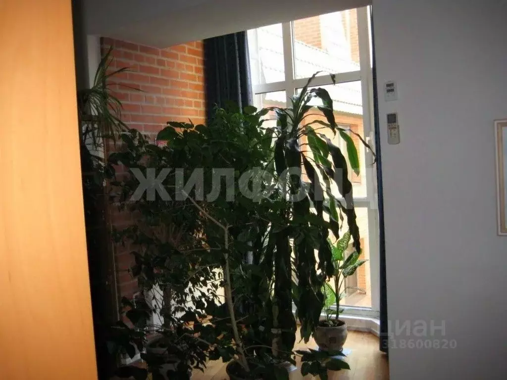 5-к кв. Новосибирская область, Новосибирск Депутатская ул., 50 (212.0 ... - Фото 1