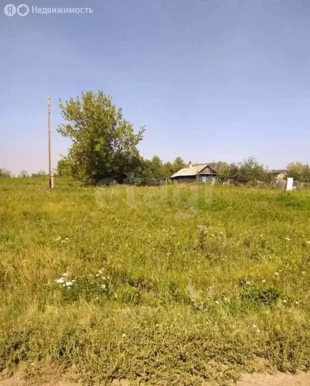 Участок в Челябинская область, Красноармейский муниципальный округ, ... - Фото 0