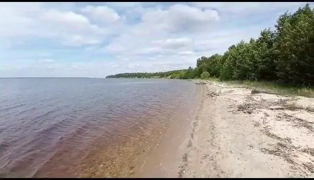 Участок в Нижегородская область, Сокольский городской округ, ... - Фото 0