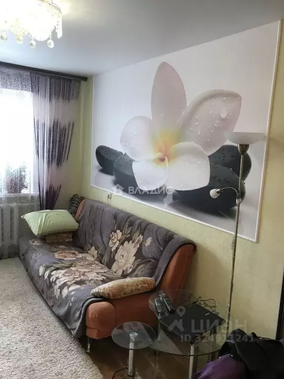 1-к кв. Владимирская область, Владимир ул. Нижняя Дуброва, 17 (38.3 м) - Фото 1