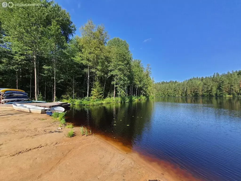 Участок в Выборгский район, Красносельское сельское поселение, ... - Фото 1