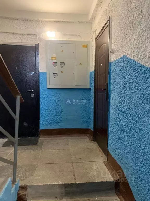 2-к кв. Тюменская область, Тюмень ул. Кузнецова, 16 (51.0 м) - Фото 1